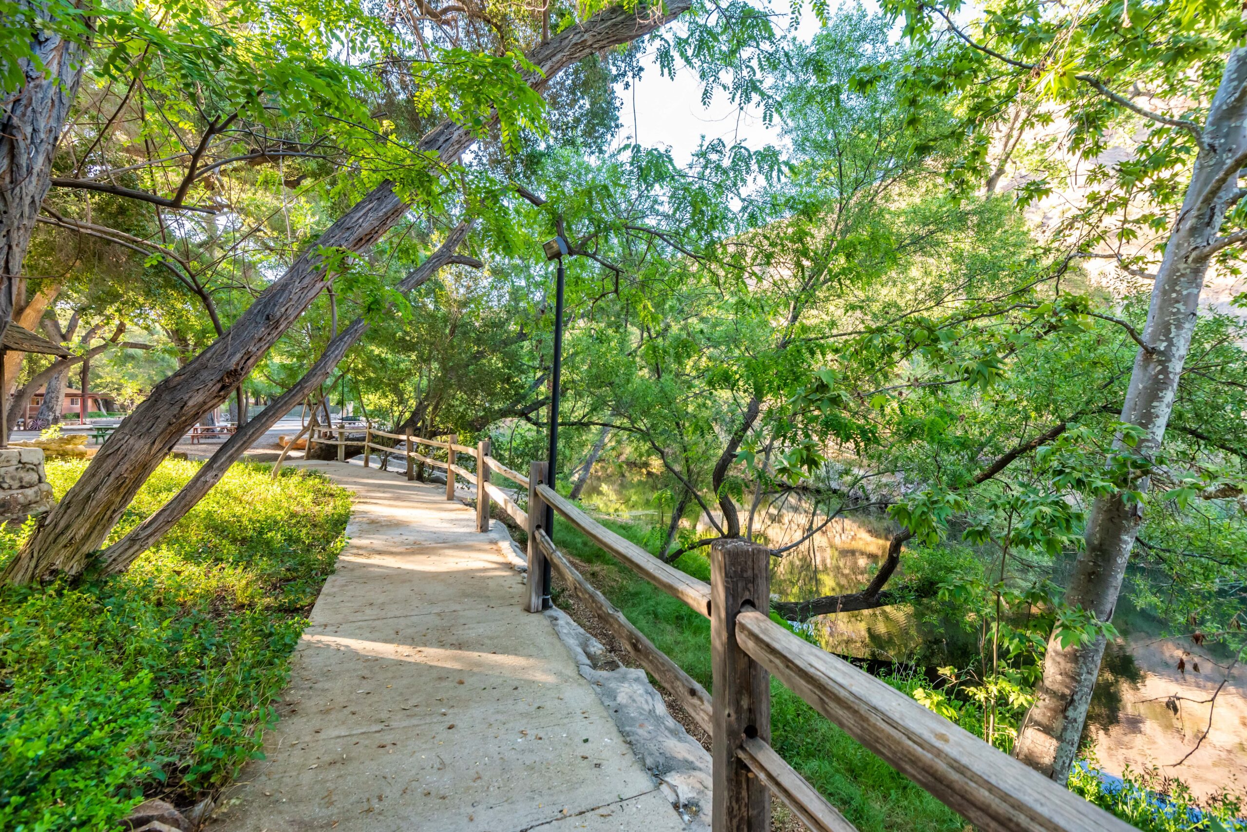 Hiking path at Conscious Health Retreat