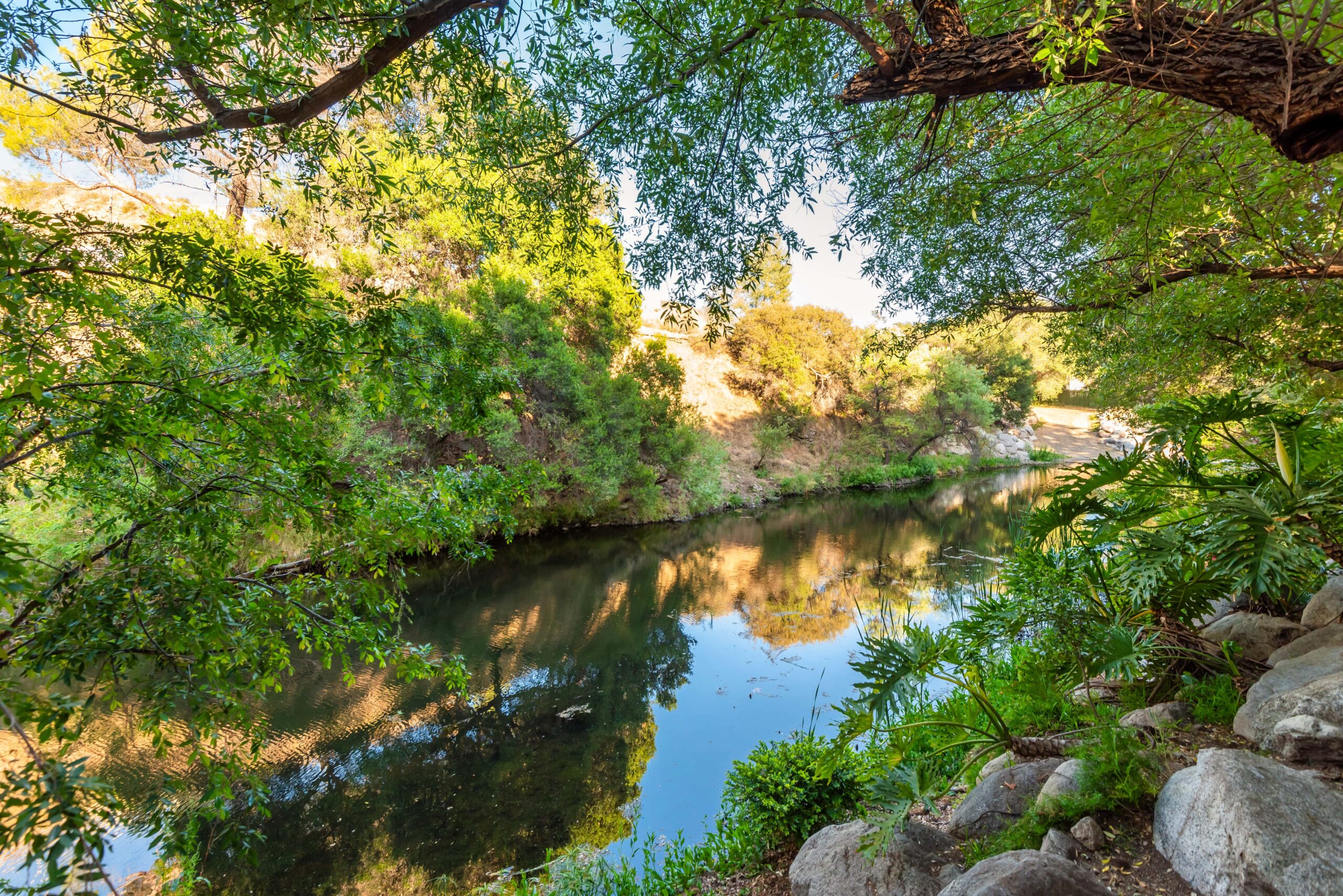 Stream at Conscious Health Retreat near Malibu California